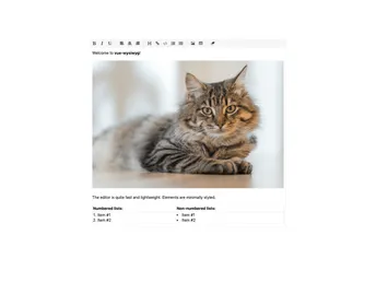 Vue Wysiwyg screenshot