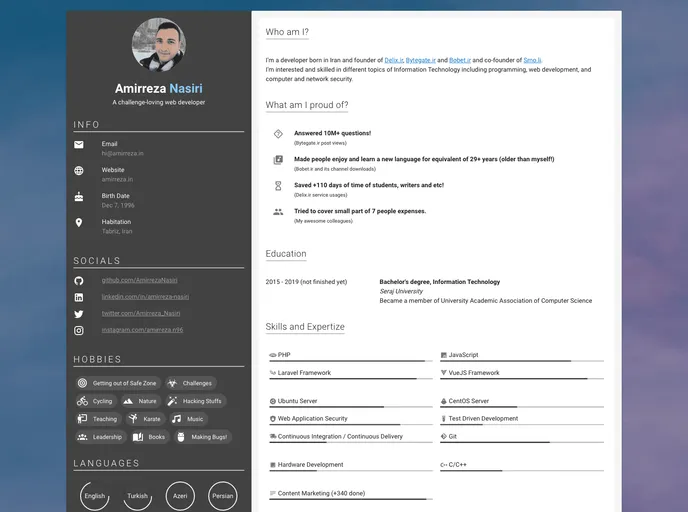 Vue Modern Resume screenshot