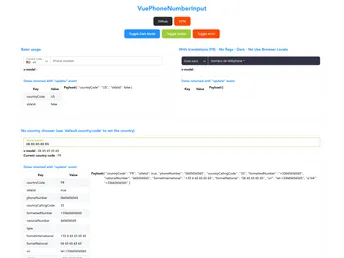 Vue Phone Number Input screenshot