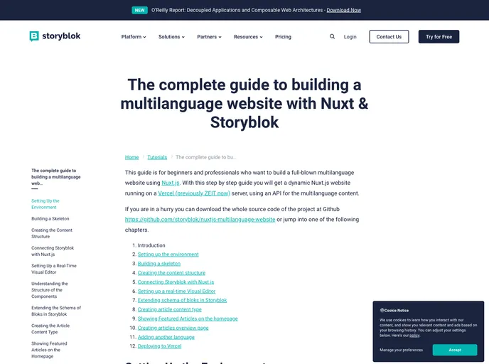 Storyblok Nuxt screenshot